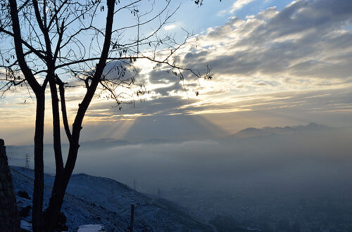 Nature Photography