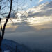 Nature Photography